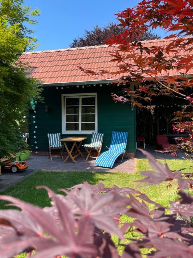 Ferienwohnung Zur Heide 라이네 외부 사진