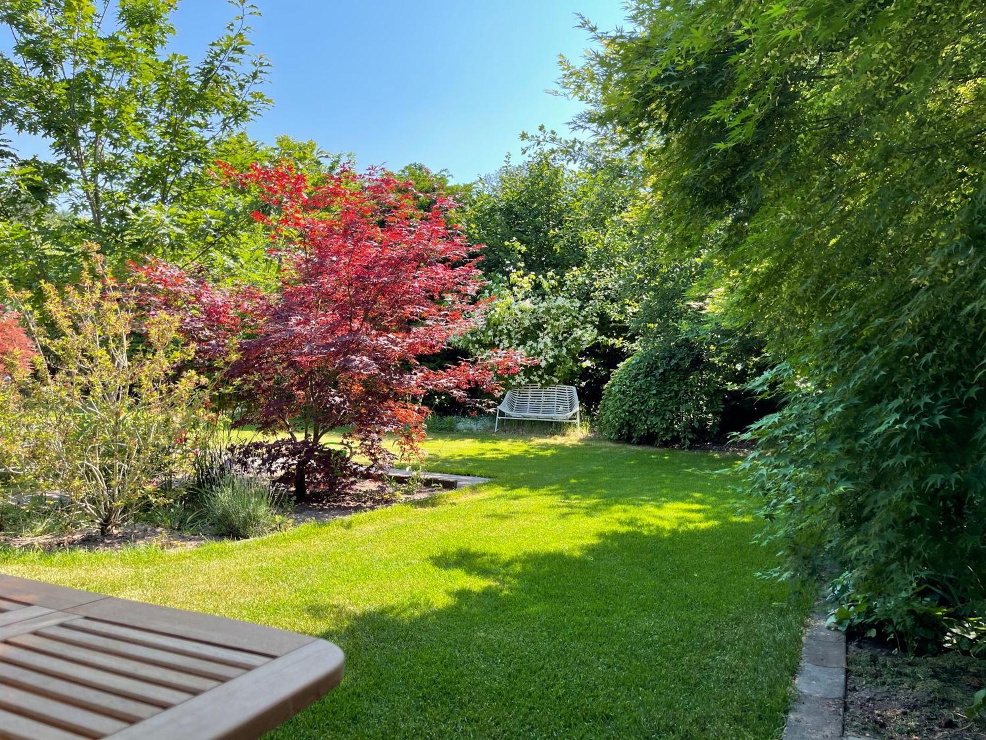 Ferienwohnung Zur Heide 라이네 외부 사진